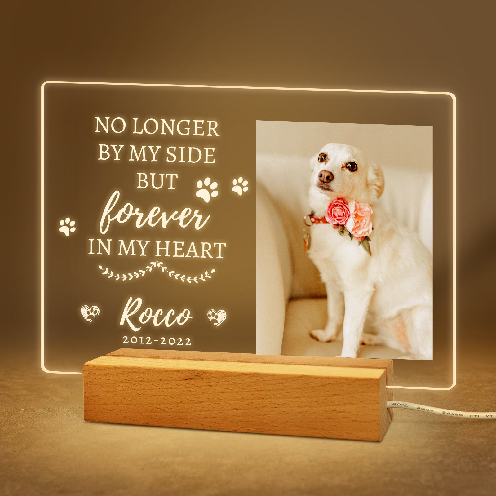 Personalized Pet Memorial Night Light, Dog Memorial Gifts, Loss of Cat or Dog Sympathy Gift